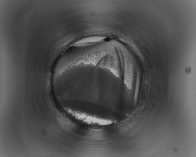 X0000099950066200806201323