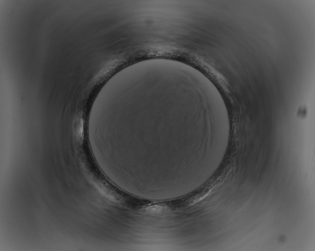X0000099950067200806201323