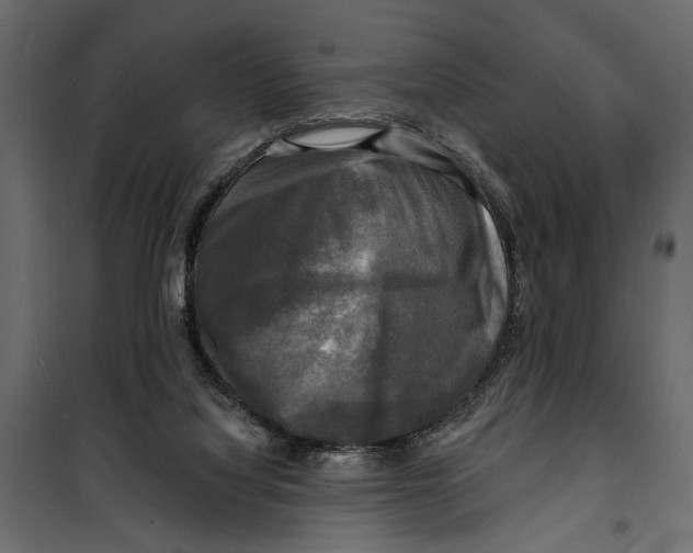 X0000099950068200806201323