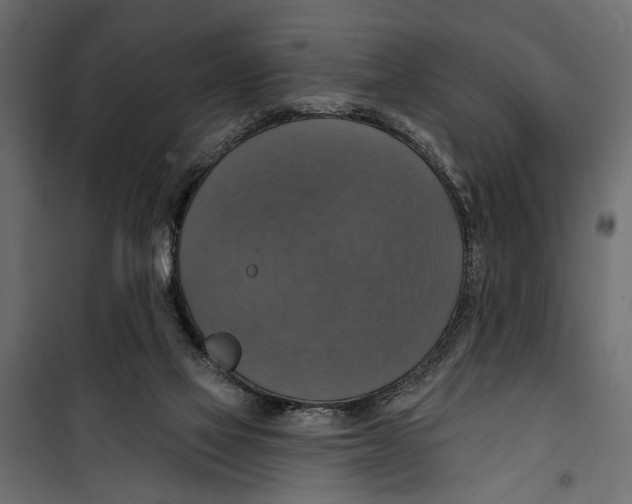 X0000099950069200806201323