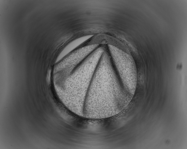 X0000099950070200806201323