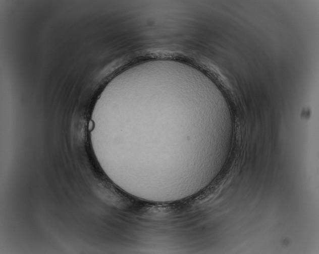 X0000099950071200806201323