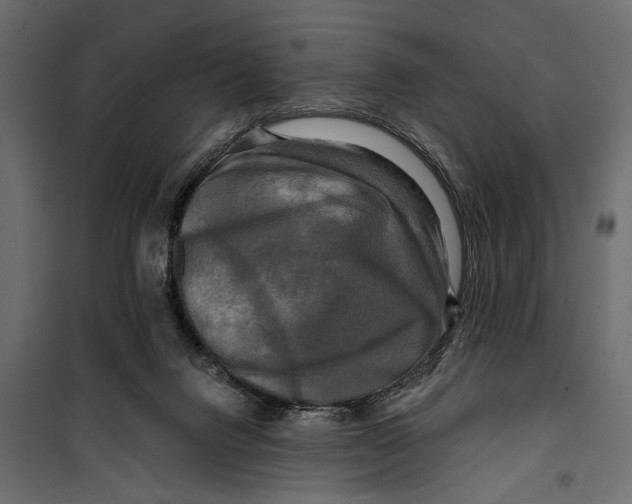 X0000099950072200806201323