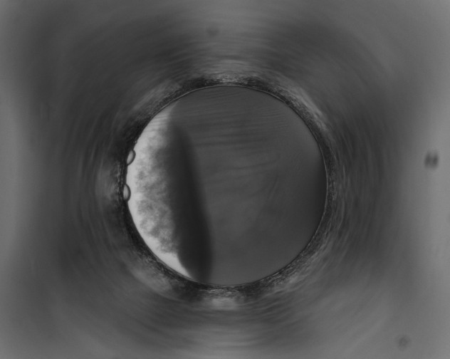 X0000099950073200806201323