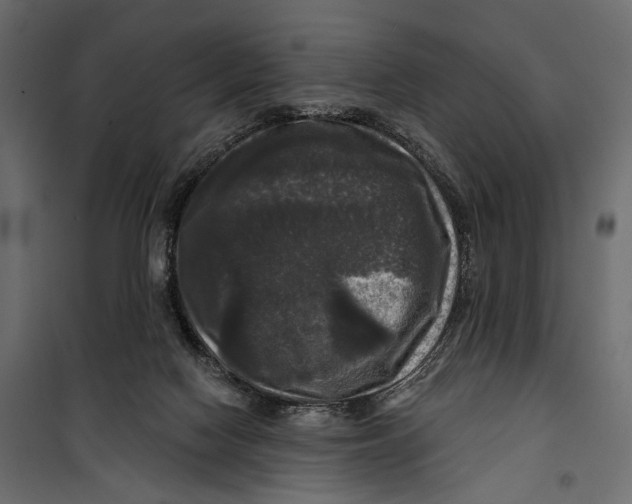 X0000099950074200806201323