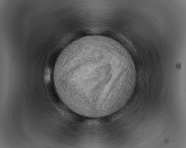X0000099950075200806201323