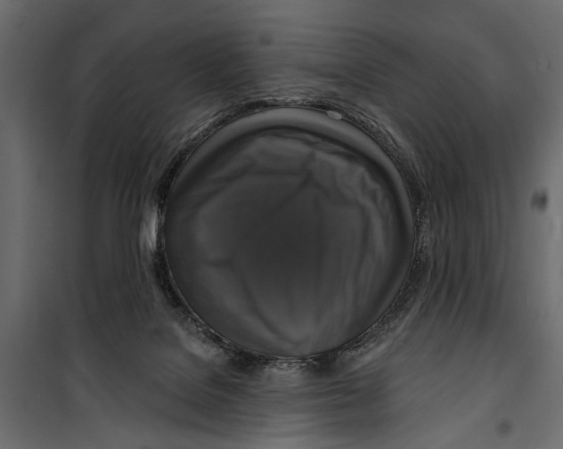 X0000099950076200806201323