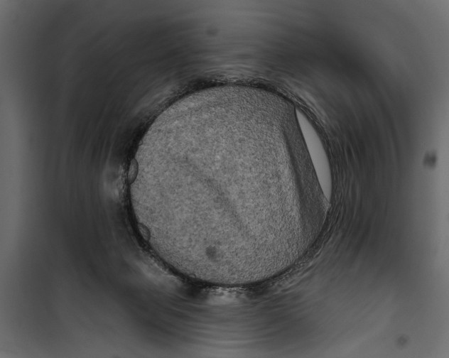 X0000099950077200806201323