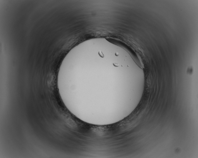 X0000099950079200806201323