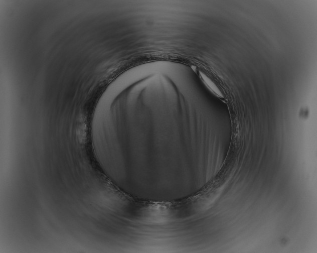 X0000099950080200806201323