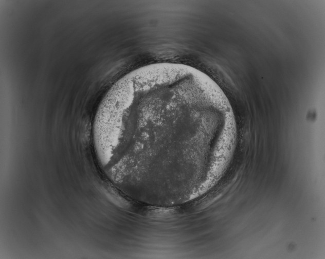 X0000099950081200806201323