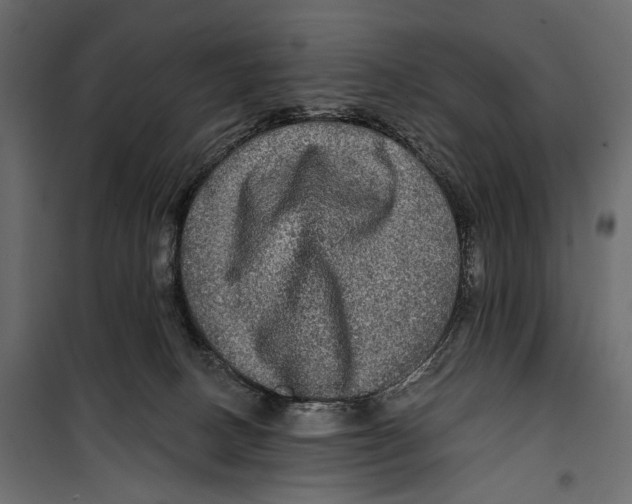 X0000099950082200806201323