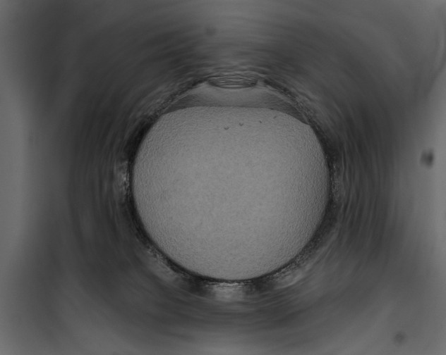 X0000099950085200806201323