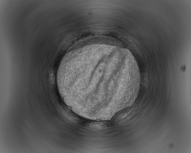 X0000099950086200806201323