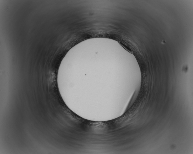 X0000099950087200806201323