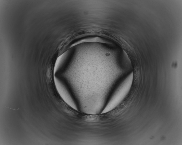 X0000099950088200806201324