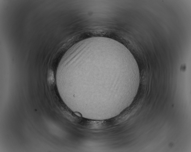 X0000099950089200806201324