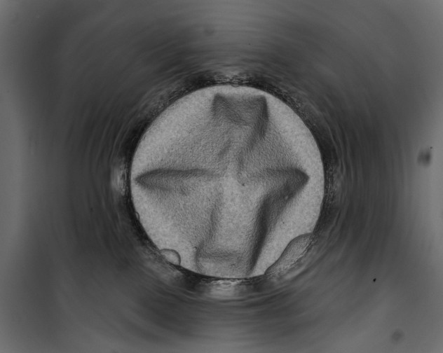 X0000099950090200806201324