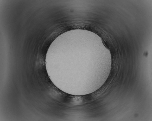 X0000099950091200806201324