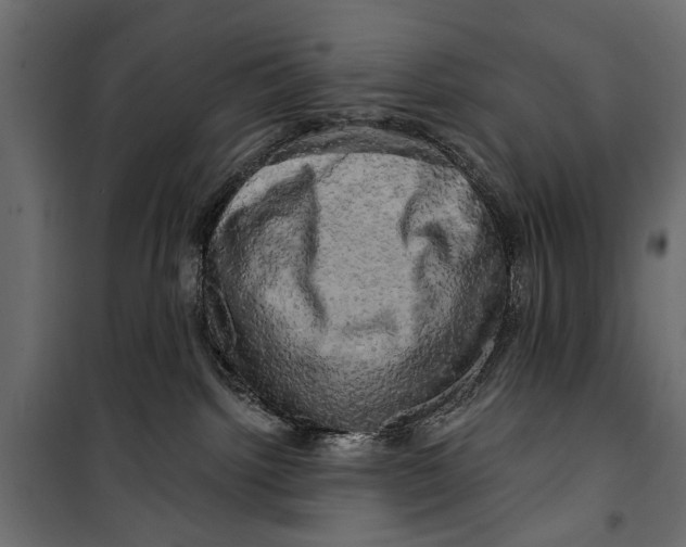 X0000099950092200806201324