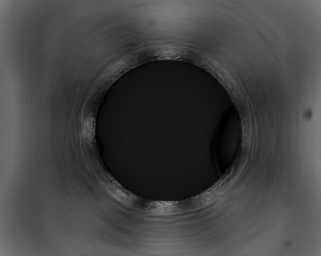 X0000099950093200806201324