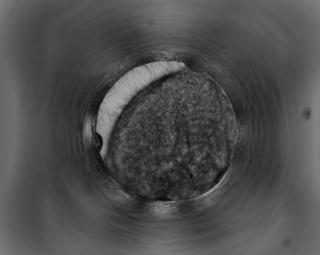 X0000099950094200806201324