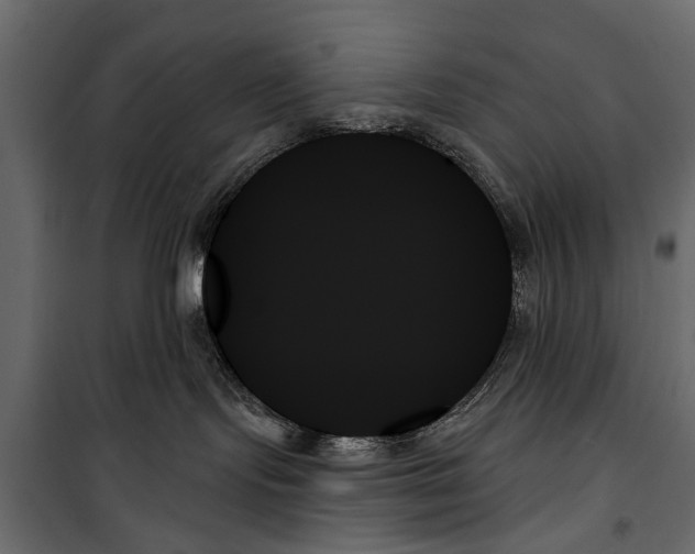 X0000099950095200806201324