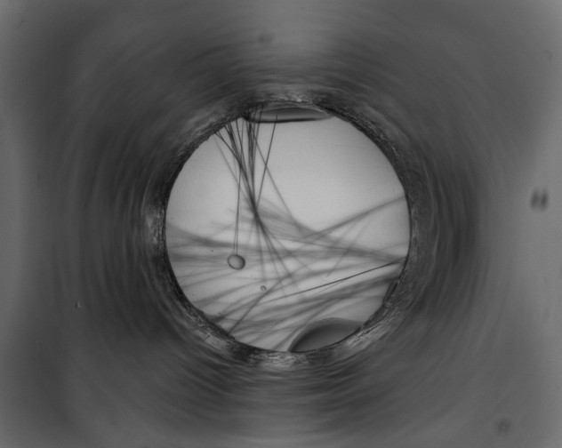X0000099950096200806201324