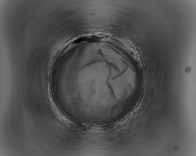 X0000099950097200806201323