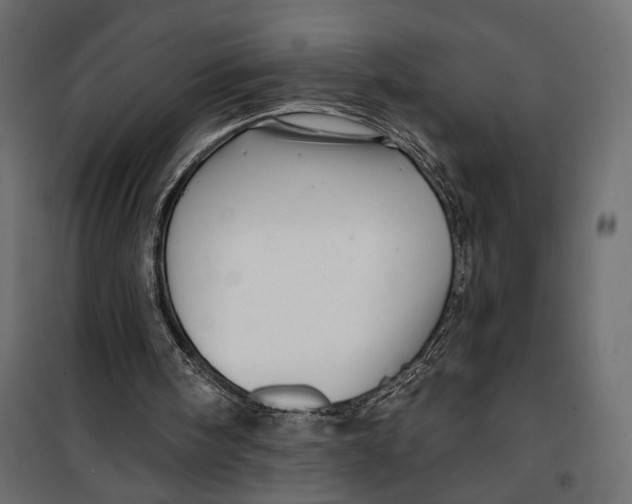 X0000099950098200806201323
