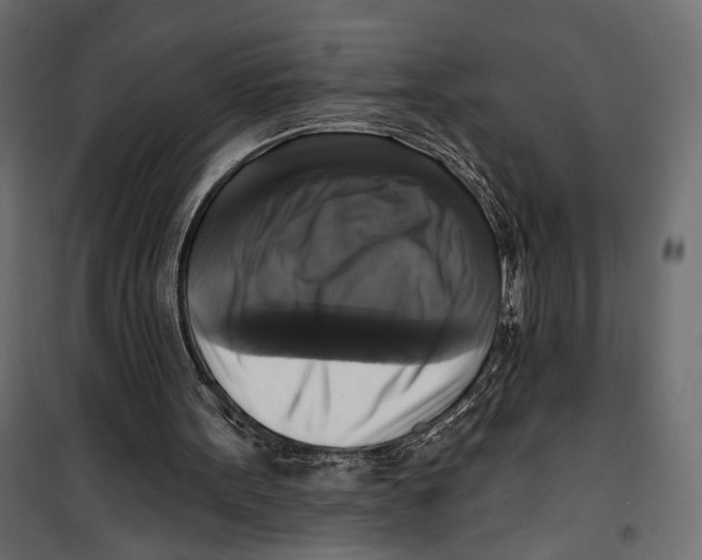 X0000099950099200806201323