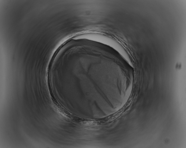 X0000099950100200806201323
