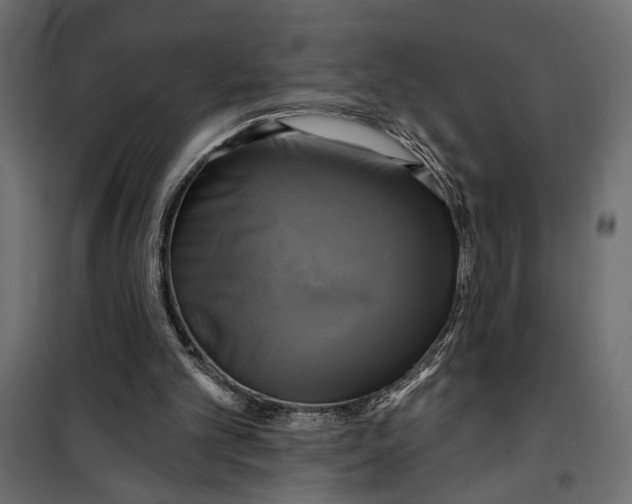 X0000099950101200806201323