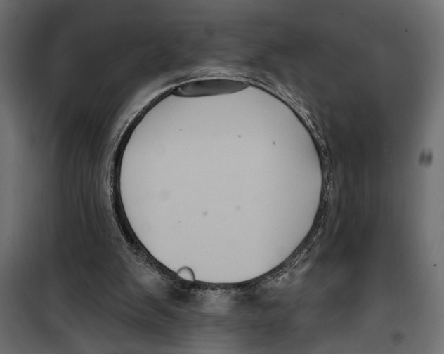 X0000099950103200806201323