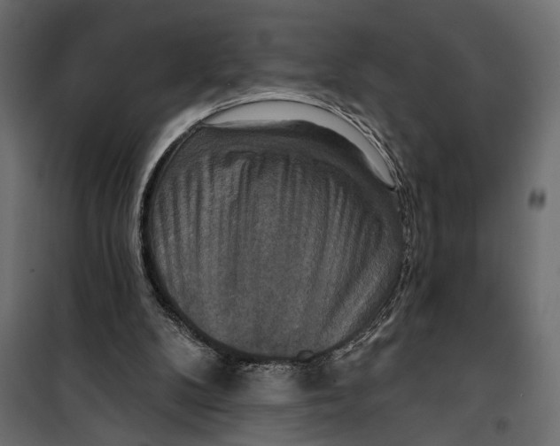 X0000099950104200806201323