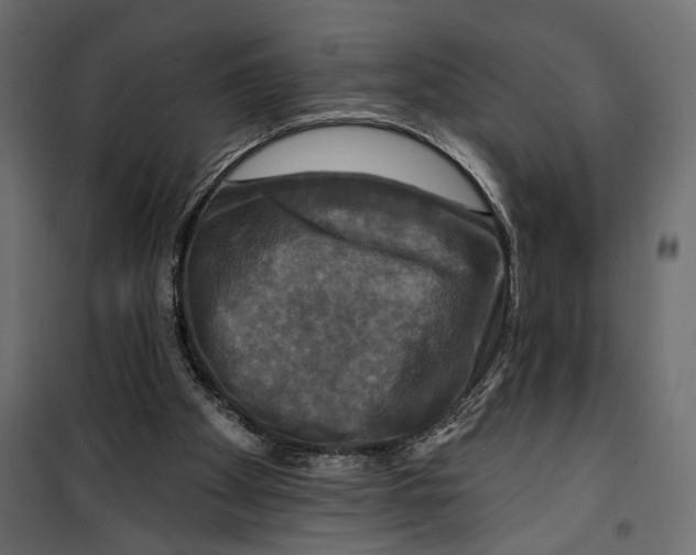 X0000099950105200806201323