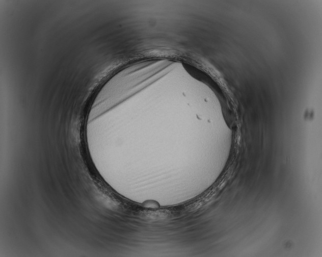 X0000099950106200806201323