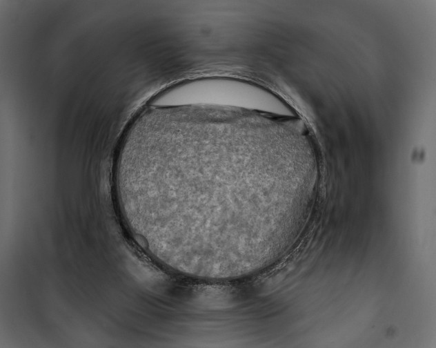 X0000099950107200806201323