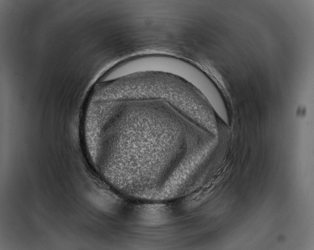 X0000099950108200806201323
