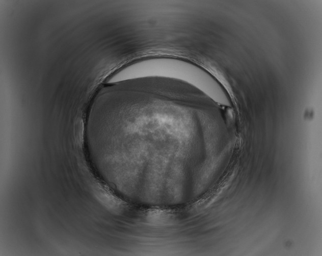 X0000099950109200806201323