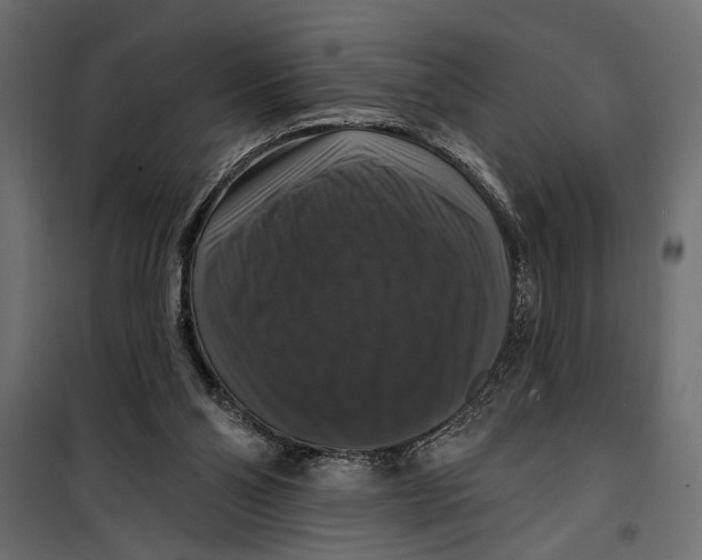 X0000099950110200806201323