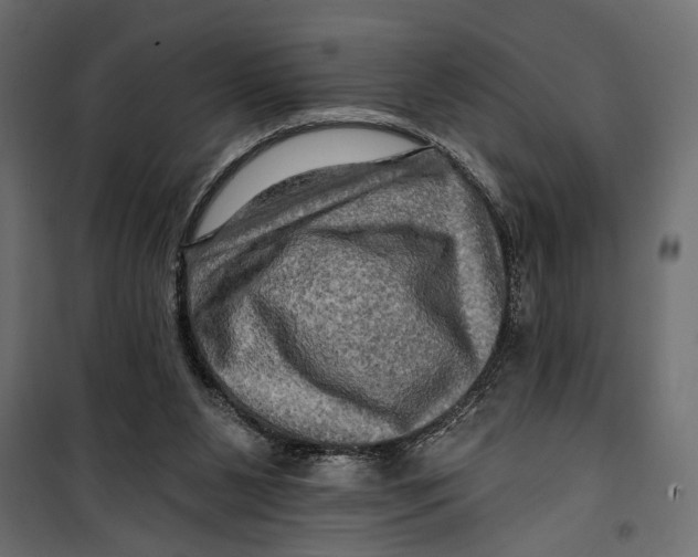 X0000099950111200806201323