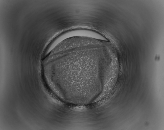 X0000099950112200806201323