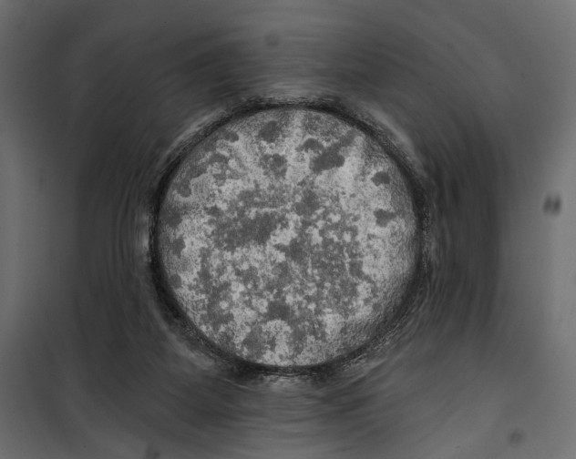 X0000099950115200806201323