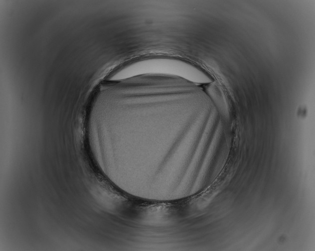 X0000099950116200806201323