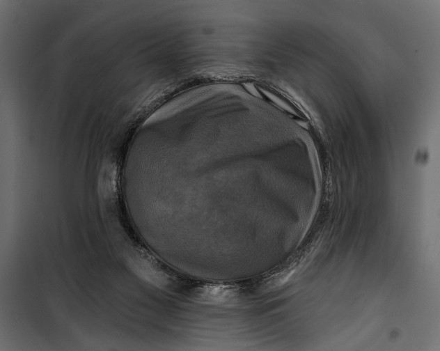X0000099950117200806201323