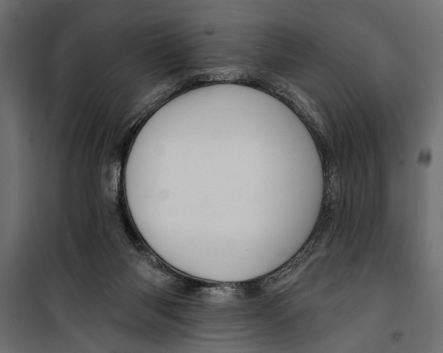 X0000099950118200806201323