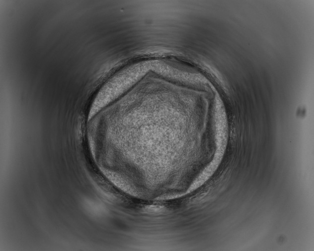 X0000099950119200806201323
