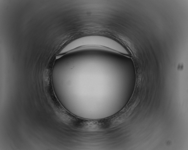 X0000099950121200806201323