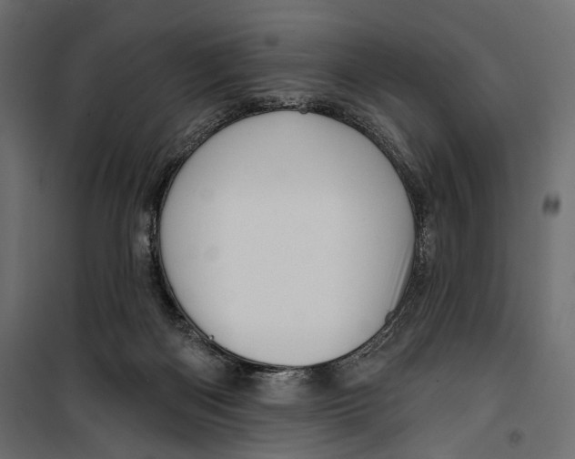 X0000099950122200806201323